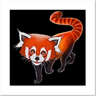 Red panda baby cute red panda baby lover Posters and Art